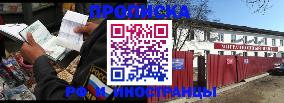 прописка поиск в Шебекино
